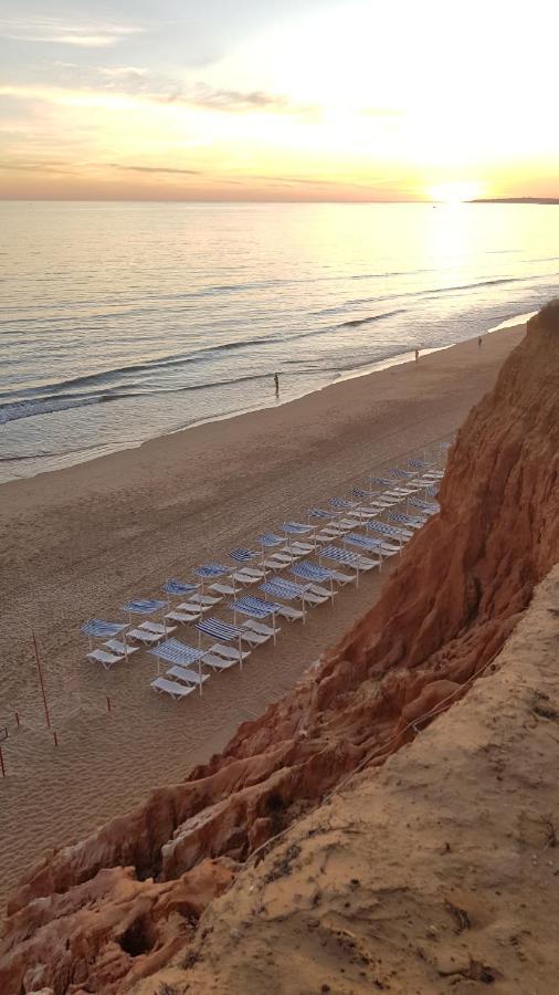 Sandy Beach Apartment Albufeira Eksteriør billede